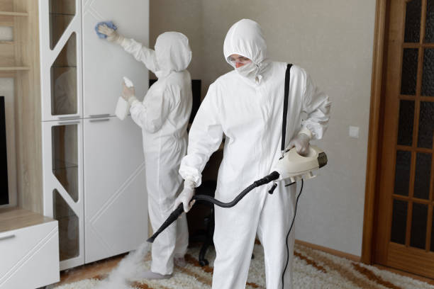24/7 Emergency Odor Removal experts in Ashley, PA